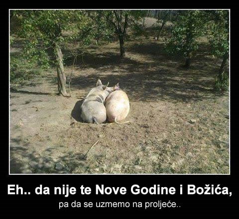 Nježni zagrljaj zaljubljenog para na suncu