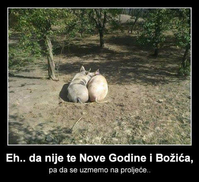 Nježni zagrljaj zaljubljenog para na suncu