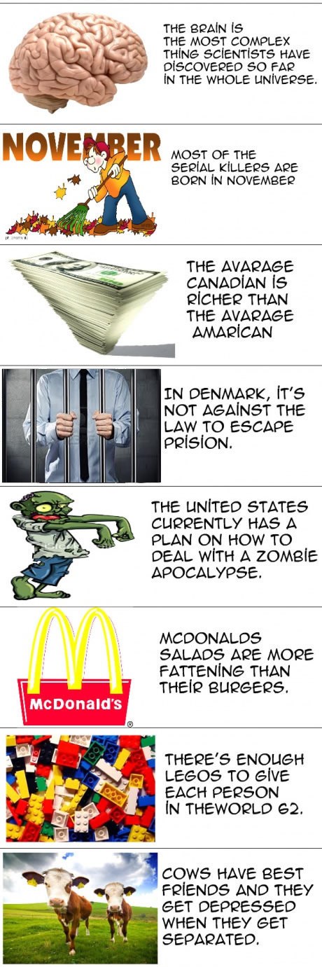 Mozak najkompliciranija stvar u svemiru