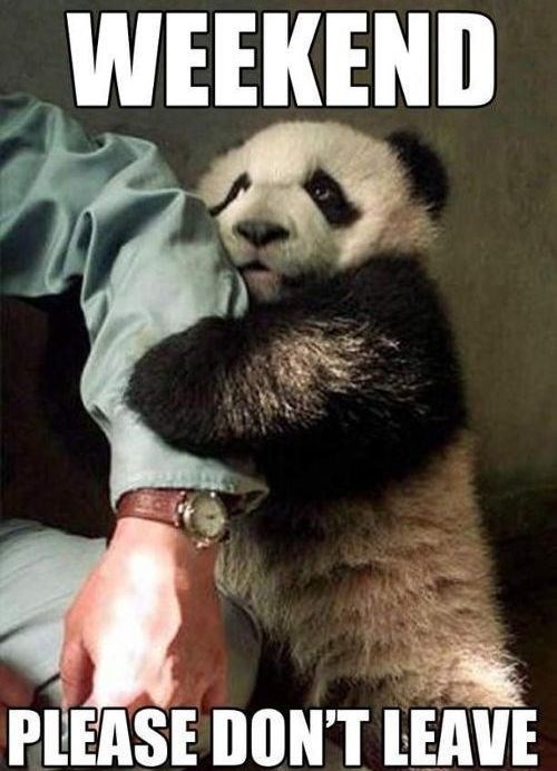 Svakog vikenda ista priča...