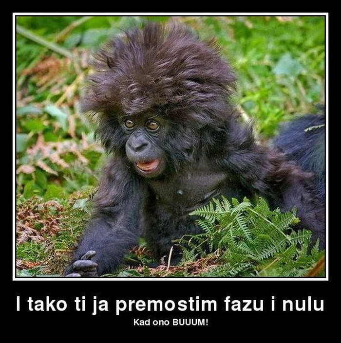 Me je struja stepla