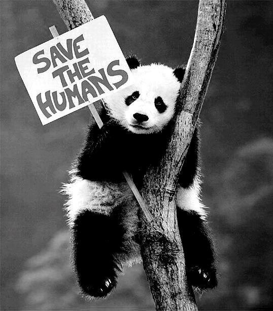 Nismo ni svjesni da uništavanjem prirode uništavamo sebe