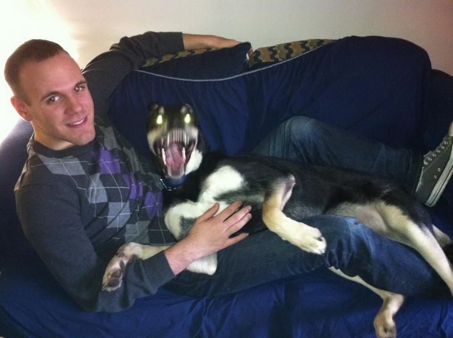 Nabavi psa, neće te zaklat na spavanju!