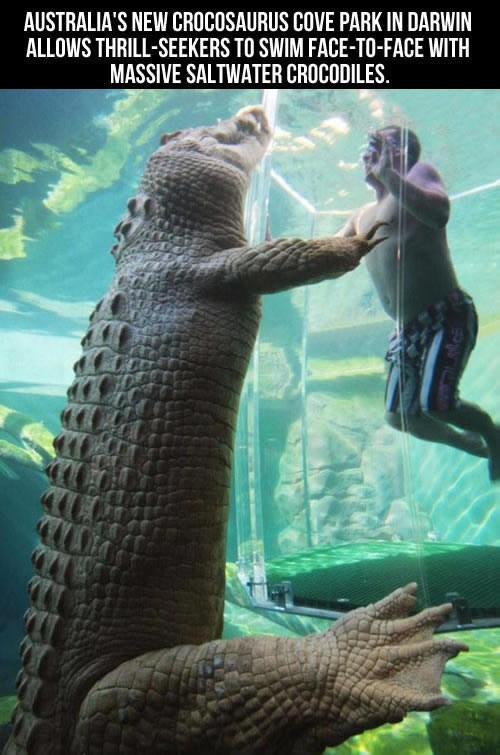 Zaplivao bi s divovskim krokosaurima?