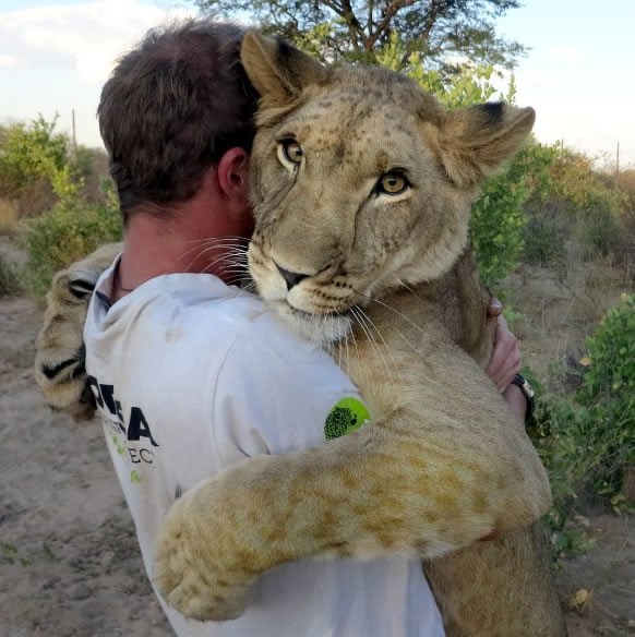 Šta gledaš, pa i ja sam maca i volim se maziti!