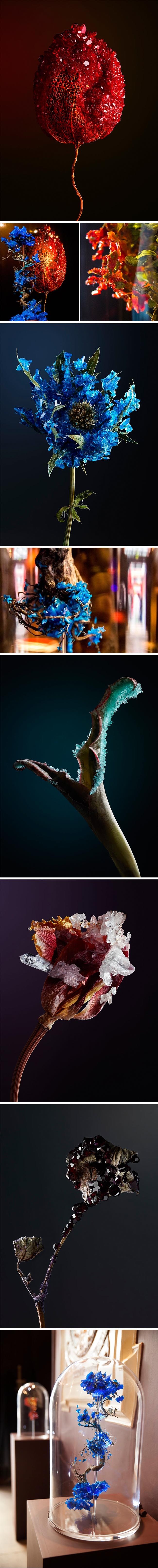 GALERIJA: Cvijeće ukrašeno kristalima će i nakon što se osuši izgledati prekrasno