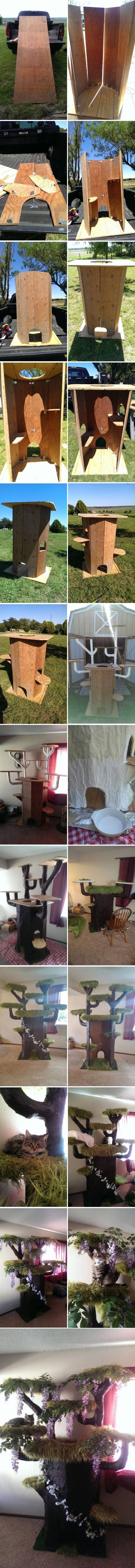 Najsretnija maca na svijetu konačno uživa, pogledajte što joj je vlasnik napravio!