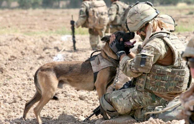 Neraskidiva veza dva ratnika