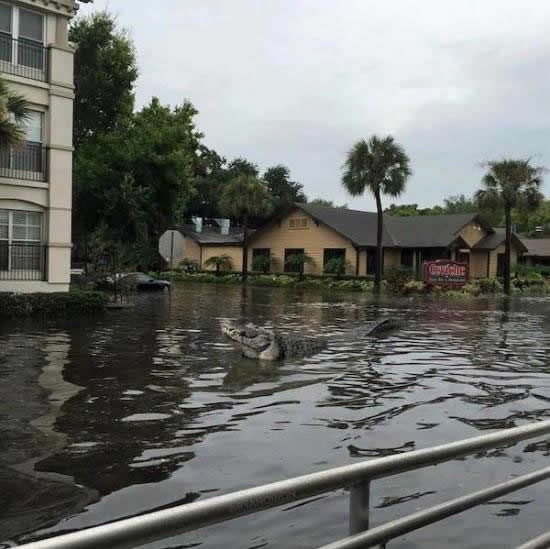 Pa gdje ste ljudi, evo mene k vama!