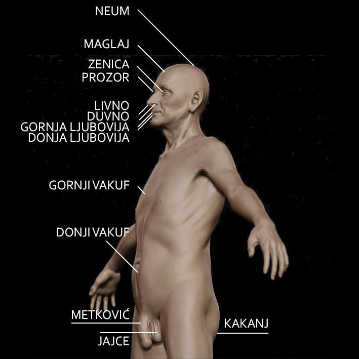"Bosnian's Anatomy"