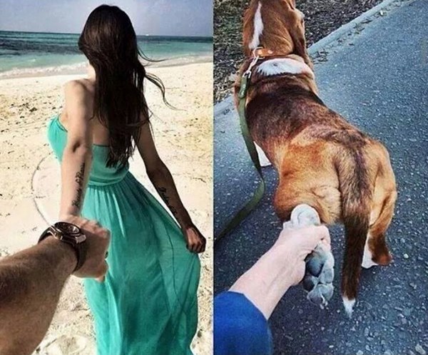 Svatko nađe svoju divu