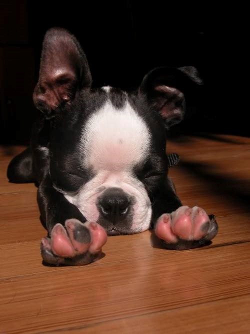 Mali, već je podne, treba se igrati i raditi nered!