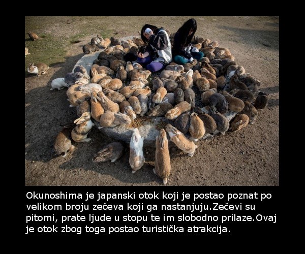 Otok Okunoshima