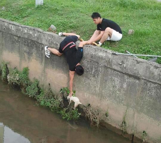 Ipak ima nade za nas mlade: Dečki spasili nesretnu macu