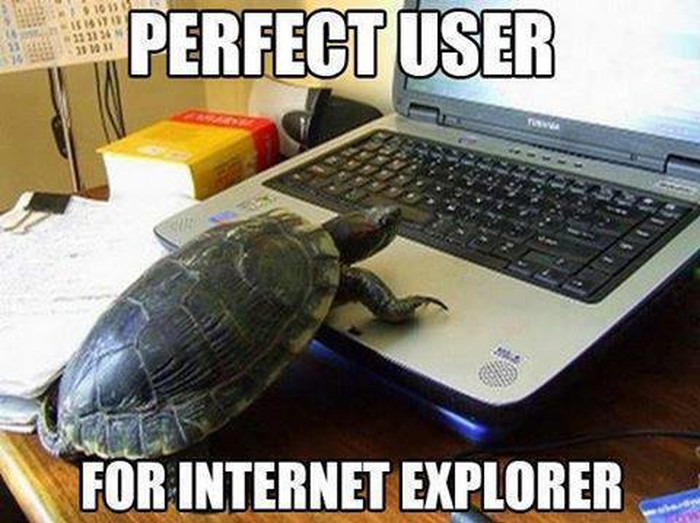 Ciljna publika za Internet Explorer