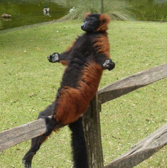 Oooommmm, oooommmmmm..