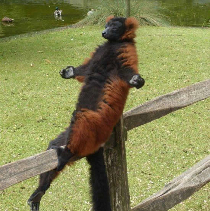 Oooommmm, oooommmmmm..
