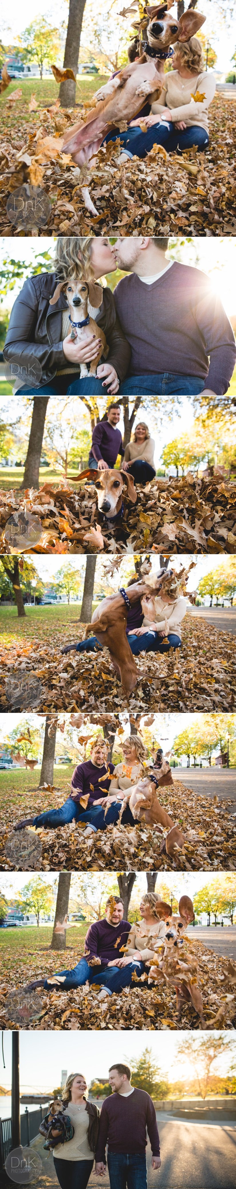 GALERIJA: Ljubomorni psić im izbombardirao sve zaručničke fotke