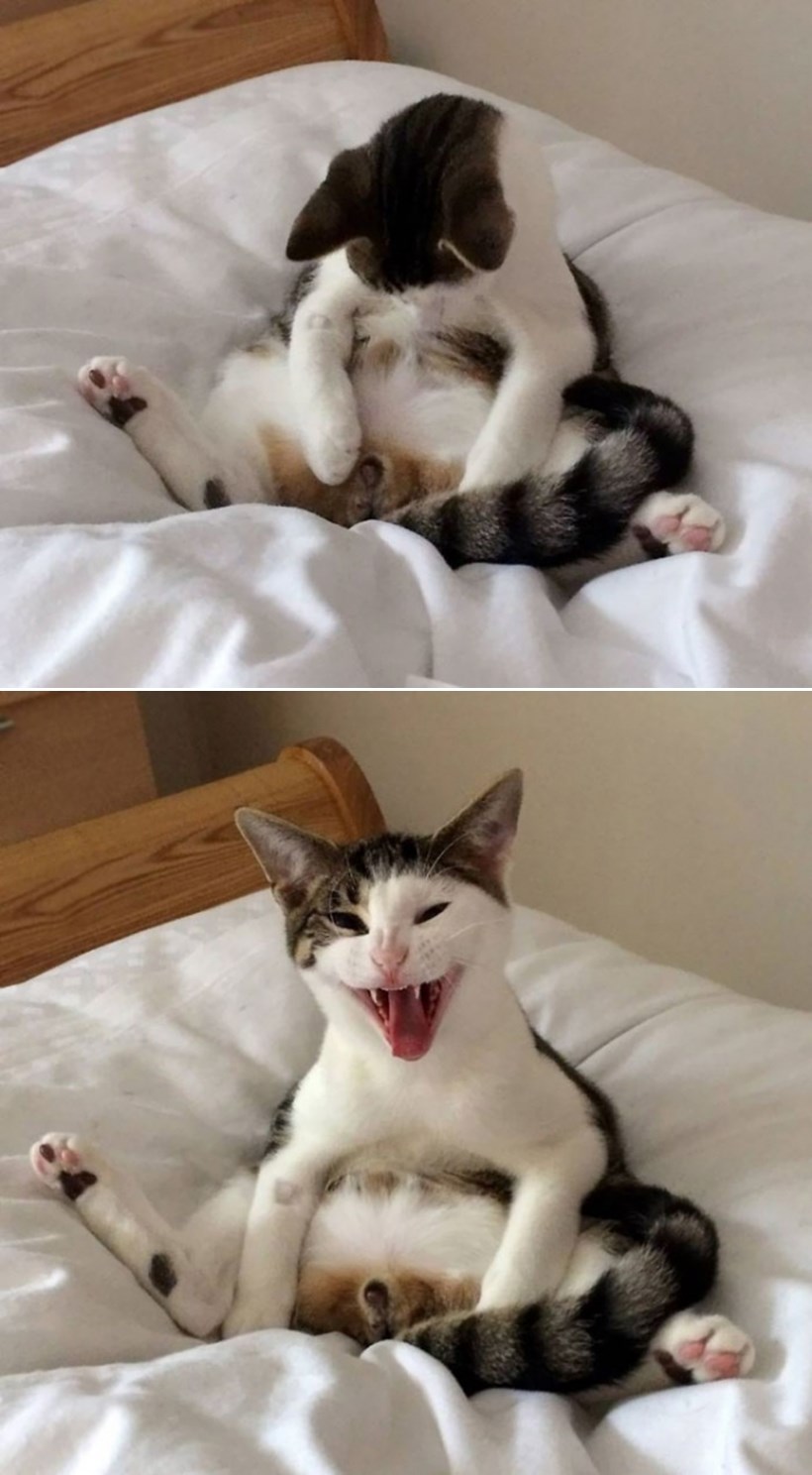 Cvaknuli mu "dragulje", pogledao dolje i - vrisnuo!