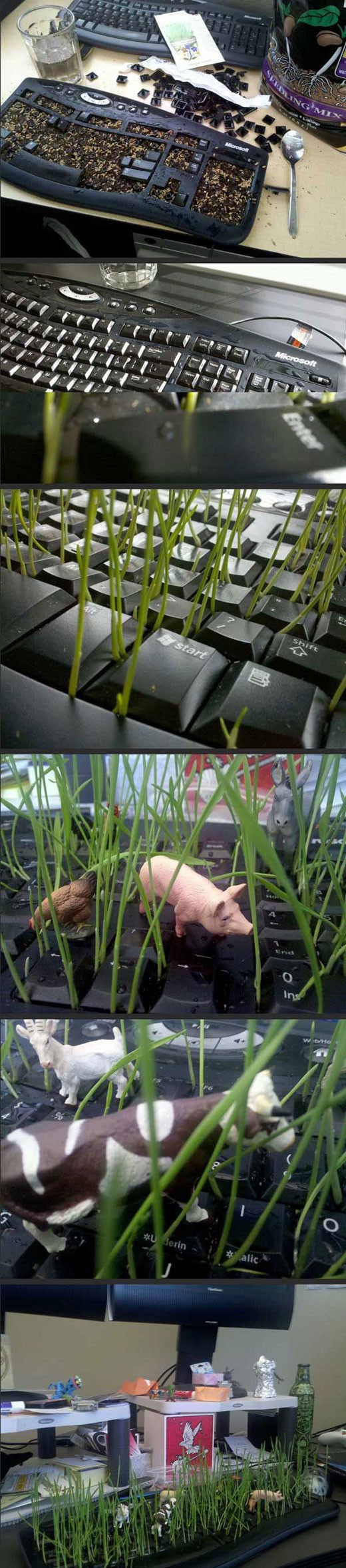 Neki ljudi stvarno imaju previše slobodnog vremena, a ova galerija to dokazuje