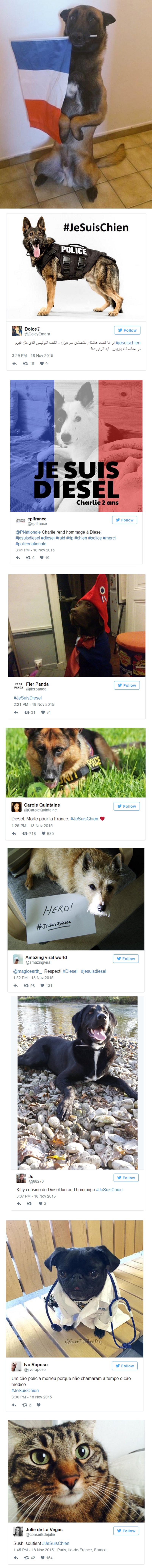 #JaSamPas: Ljubimci svijeta odaju počast junakinji Diesel, koju su ubili teroristi!