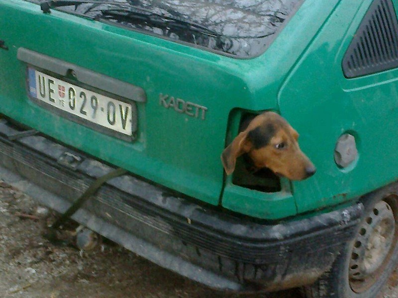 Elektronika nema dušu: "Ide desno! Desno! Vau, desno!"