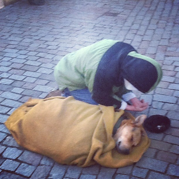 Beskućnik se žrtvuje za prijatelja: Trpi zimu, deku dao psu