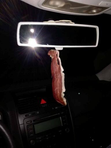 Mirisni bor na dalmatinski način: Kada ovo stavite u auto nećete htjeti izaći iz njega!