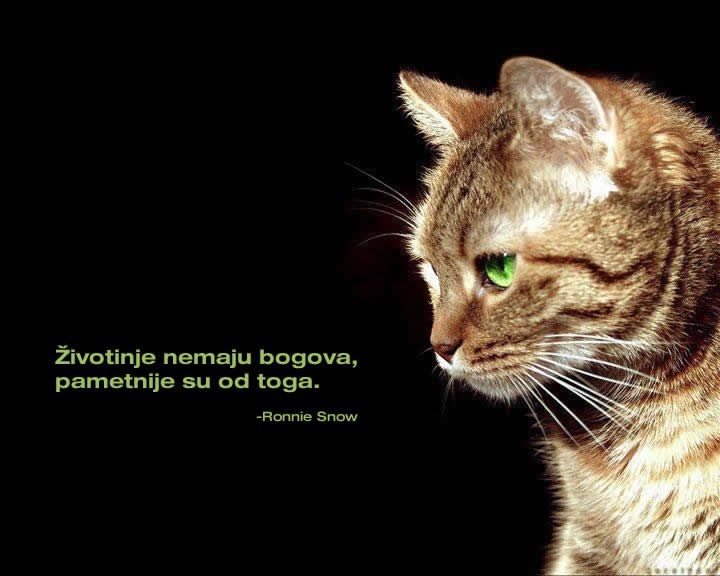 Imaju li životinje boga?