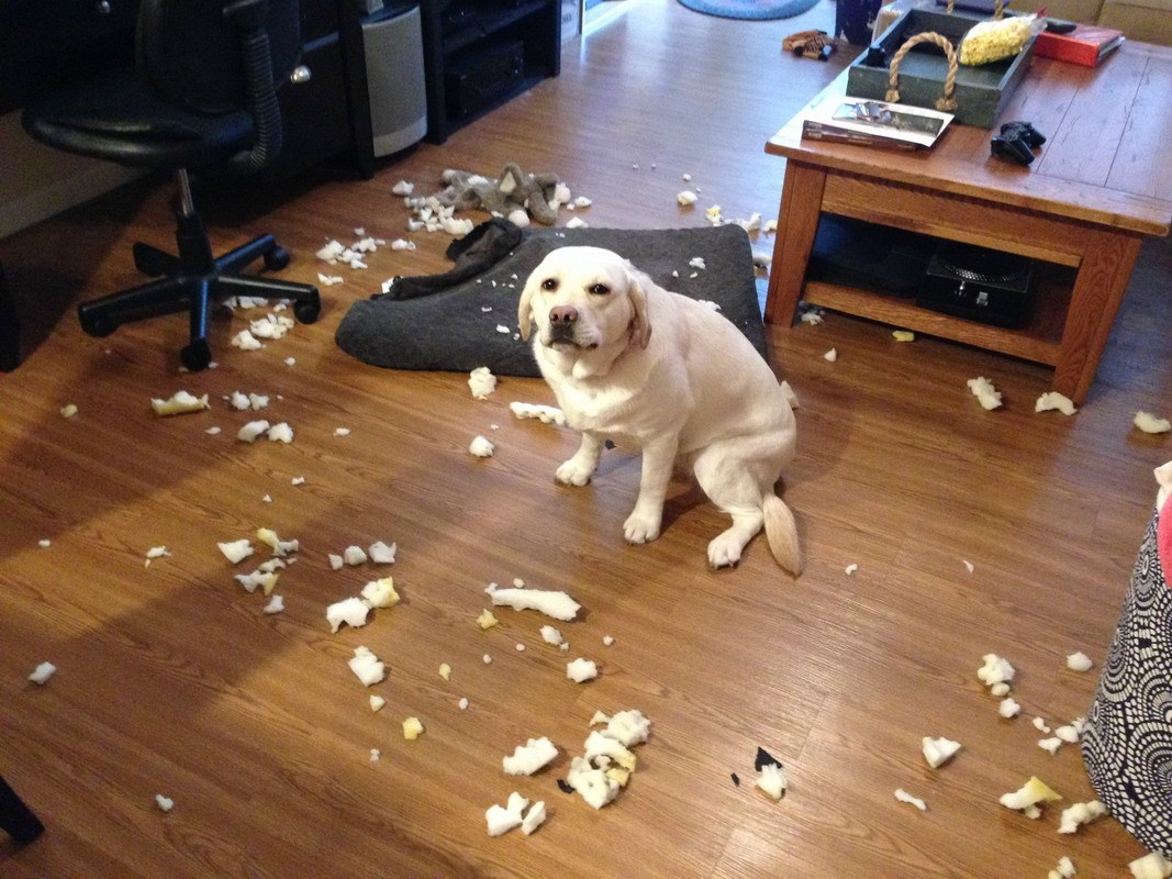 Jednostavno je samo eksplodiralo, jedva sam preživio!