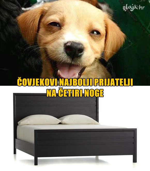 Vikendom se imate prilike uvjeriti u ovo