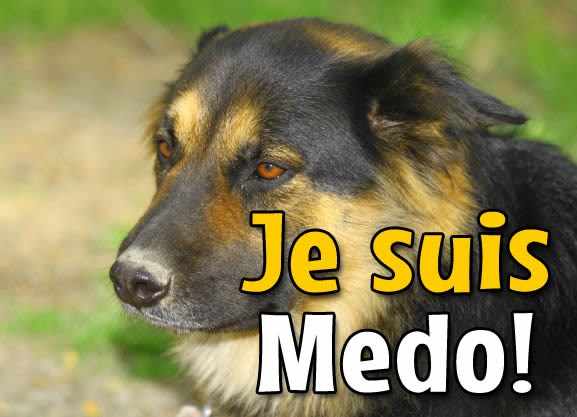 Pas, a ne zločinac!