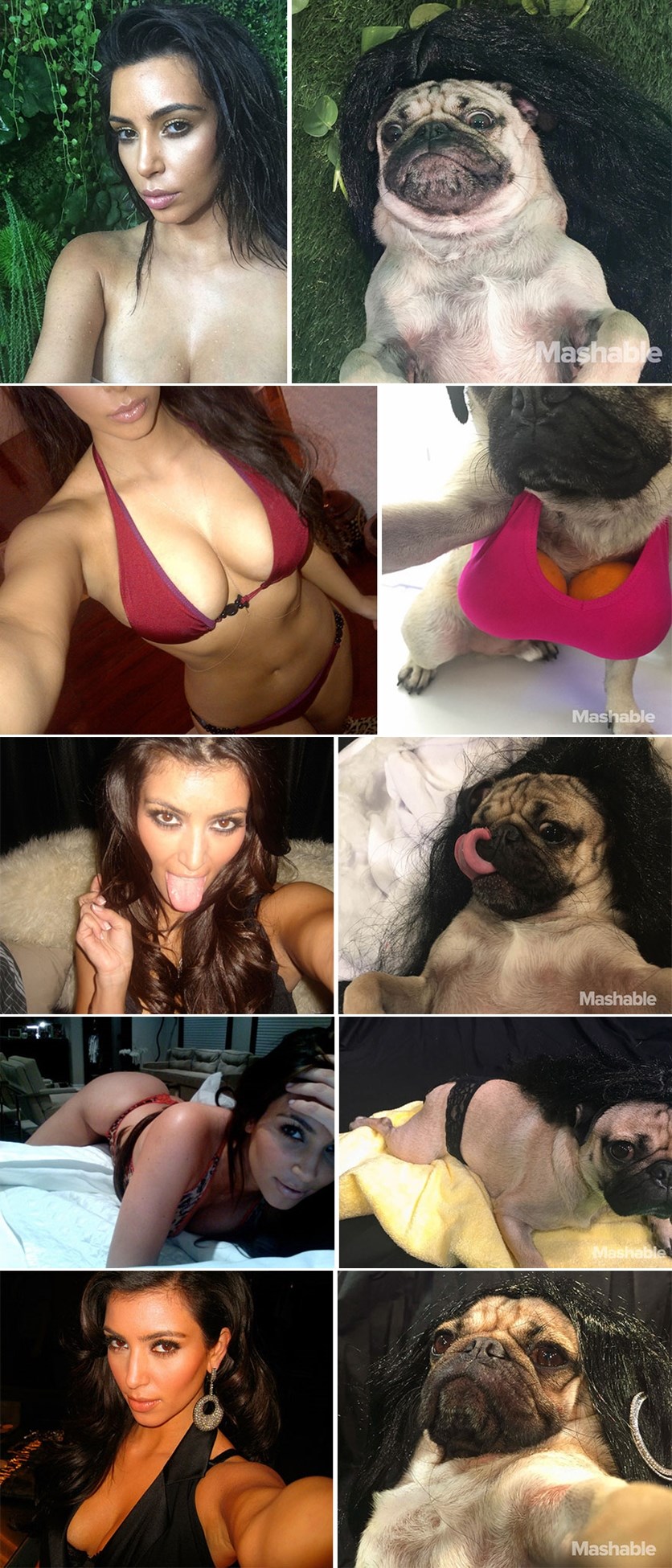 GALERIJA: Seksi mops rekreirao vruće selfije Kim Kardashian - nitko ne vidi razliku!