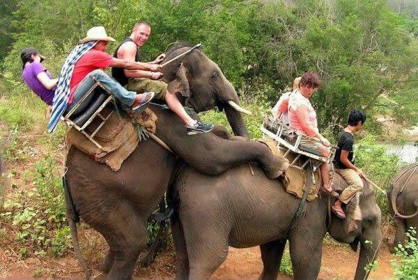 Izlet naglo skrenuo u "sexy time"