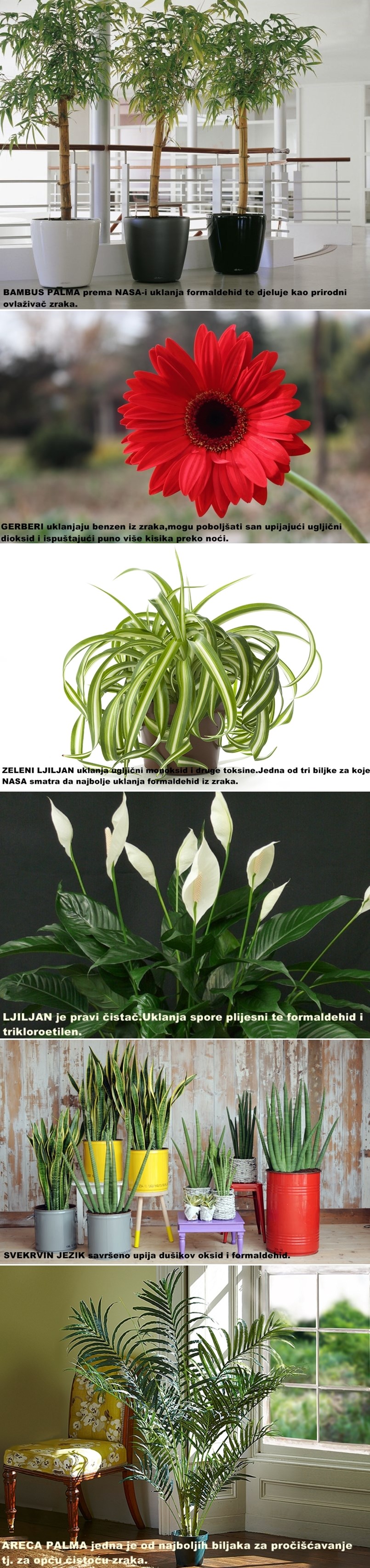 GALERIJA : NASA i ALCA predstavljaju 6 malenih tvornica kvalitetnog zraka