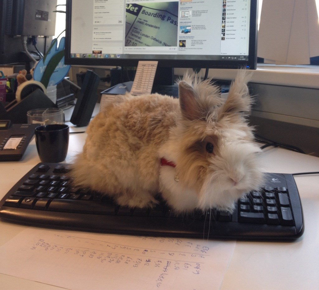 Davaj mrkvu ili krećem čupat tipke!