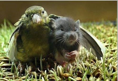 friends will be friends..)))