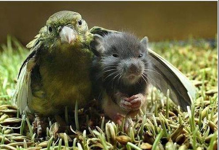 friends will be friends..)))
