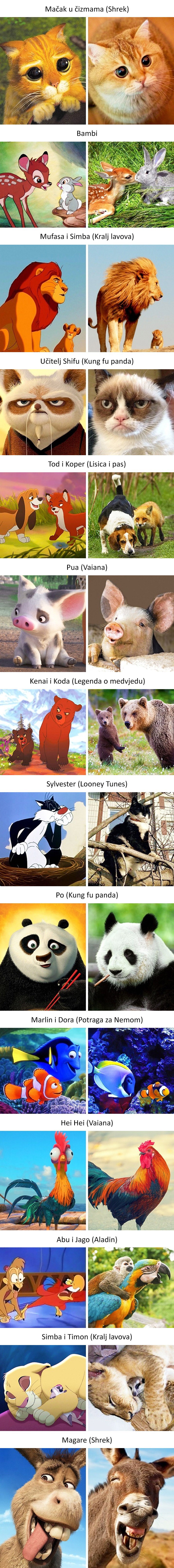 Životinje iz poznatih crtića imaju svoje kopije u stvarnom svijetu!