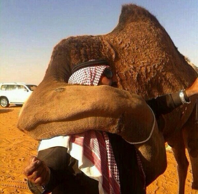 Šeik, ti si moj, vodim te doma!