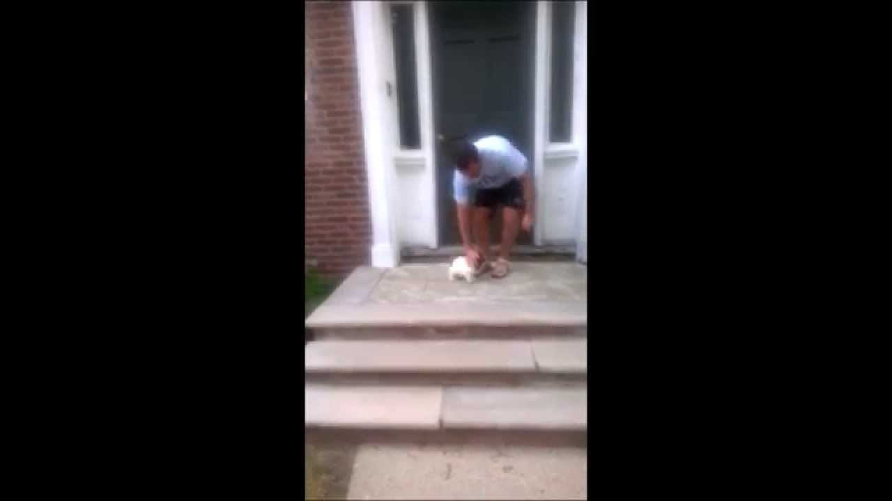 VIDEO: Kad se bojiš stepenica - idi prečicom 