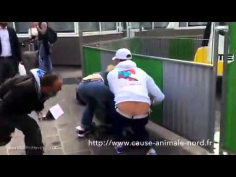 VIDEO: Ispravljena nepravda - beskućniku vraćen najdraži psić