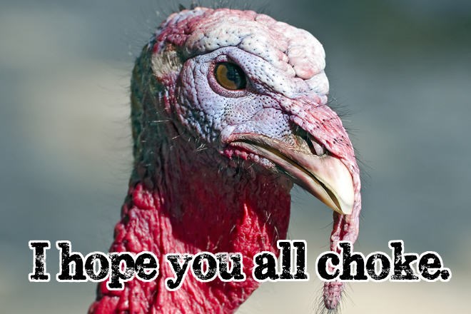 Poruka božićne purice čovječanstvu