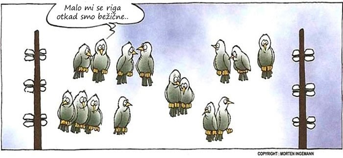 "Žičana" generacija