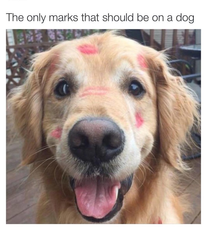 The Truth