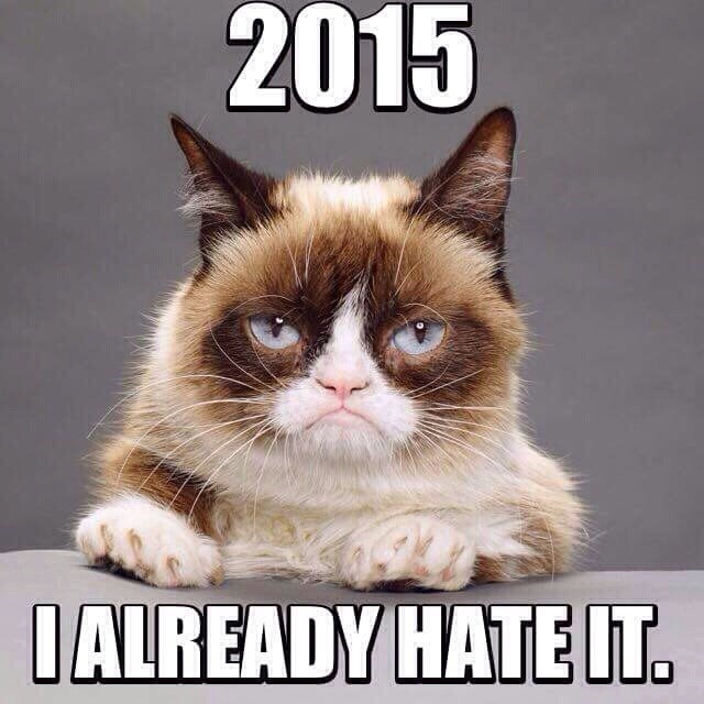 Grumpy Cat o 2015.