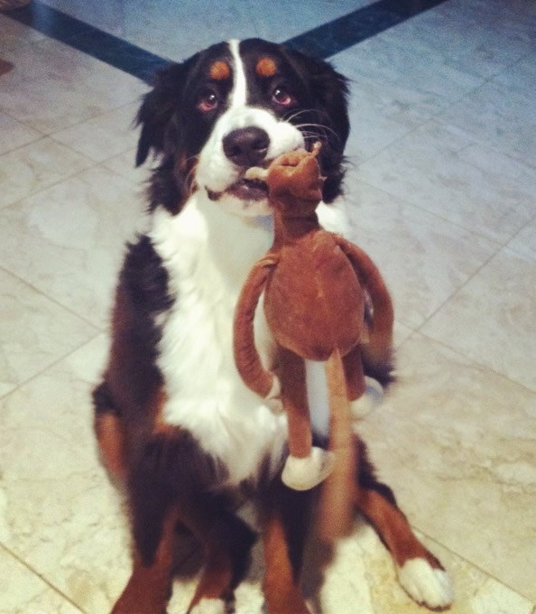 Može malo pažnje, malo vremena za mene?