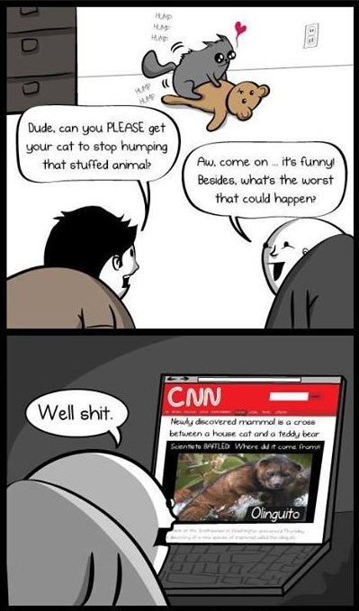 Olinguito - križanac mačke i medvjedića