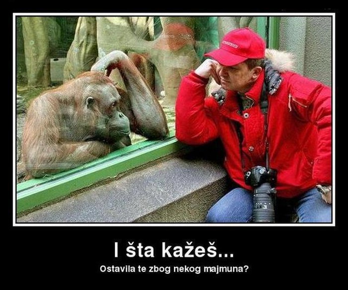 Milijuni godina razlike, a ipak nas muče iste muke
