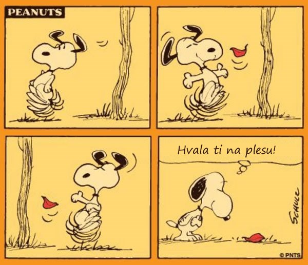 Budi Snoopy i u svemu nađi nešto dobro!